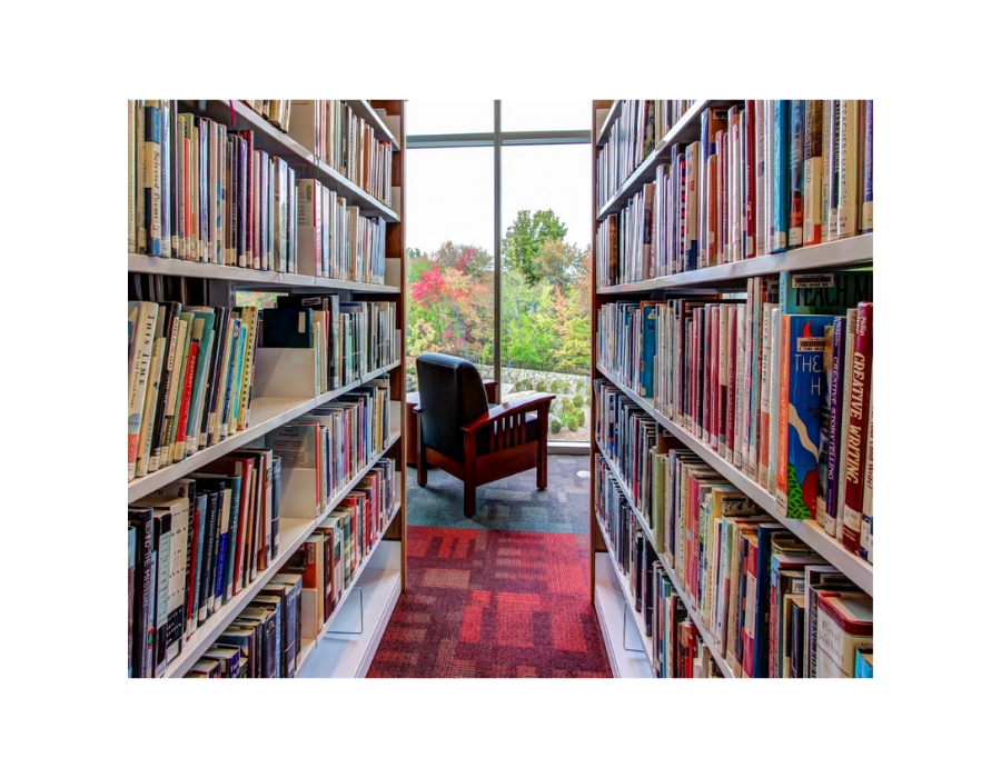 The adult circulation book stacks overlooking a window with fall trees.
