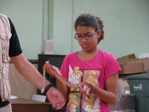 Animal World Experience - Think snakes feel slimy? Think again!