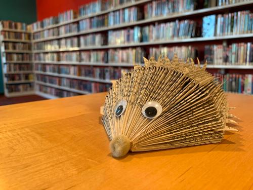 hedgehog_small hedgehog_small