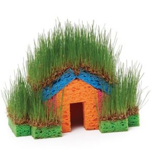 A cat grass house made of sponges.