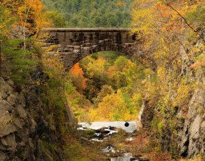 Nature photo from contest website.