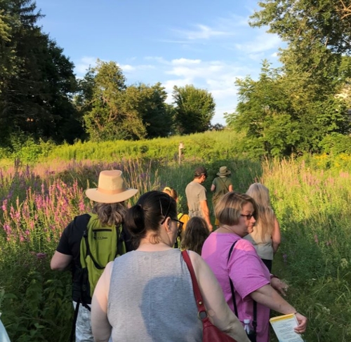 People on a sunny nature walk.