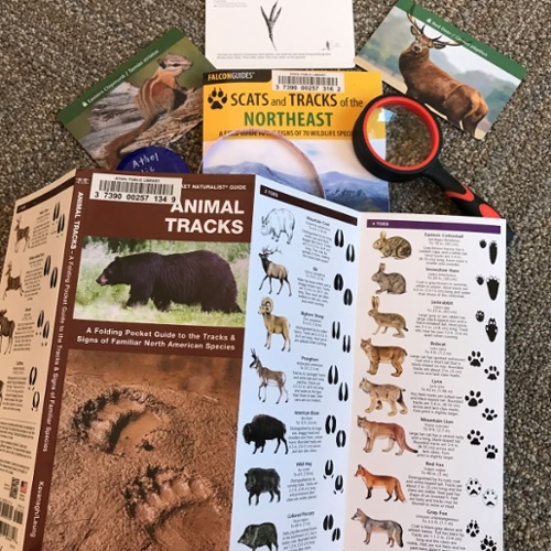 Animal tracks kit stuff.