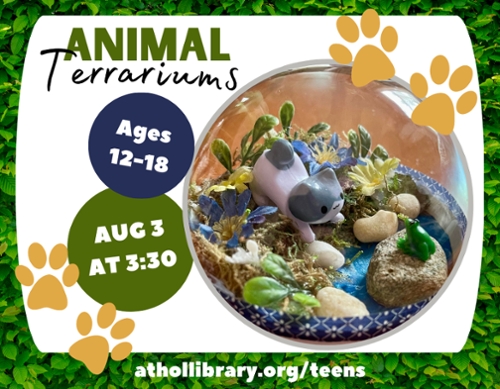 An example of a terrarium.