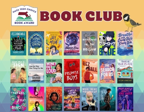 The MA Teen book award nominee book covers.