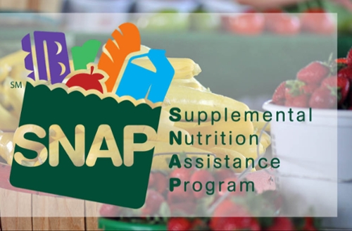 SNAP Logo