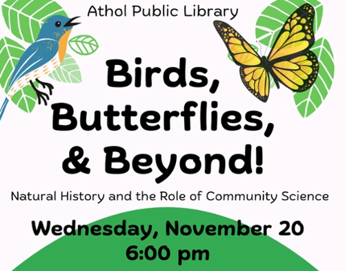 Cartoon butterflt & bird to accomapny the news text.