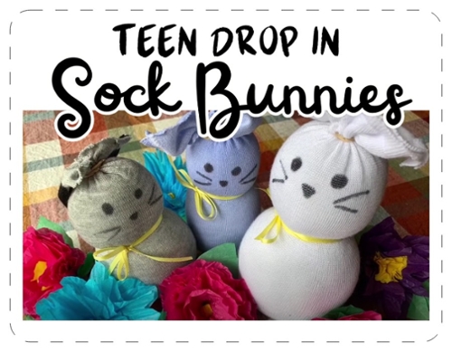Image of 3 sock bunny examples along with the name of the program.