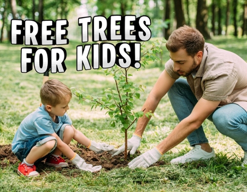 Image of a father and a son planting a tree.